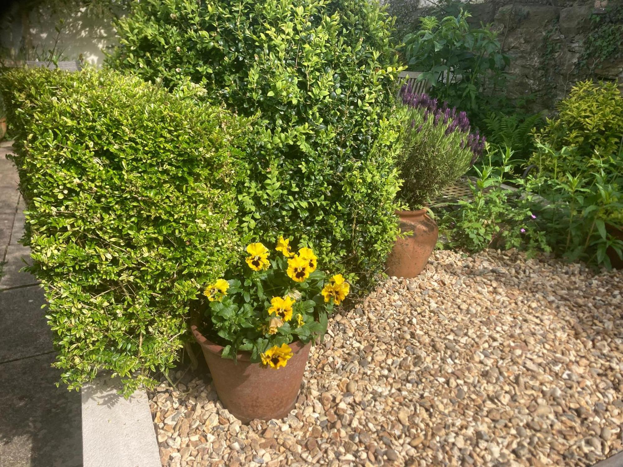 Bryntirion Farmhouse Apartment With Hot Tub Llanfair Caereinion Luaran gambar